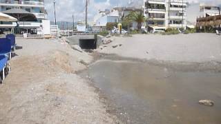 Ελος στην Παραλία της Καλαμάτας