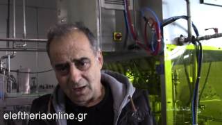 "Αλφειός Ρόδι Α.Ε.": 207 παραγωγοί καλλιεργούν ρόδια σε 2.000 στρέμματα