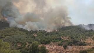 Μεγάλη πυρκαγιά στην Πολυθέα του Δήμου Τριφυλίας