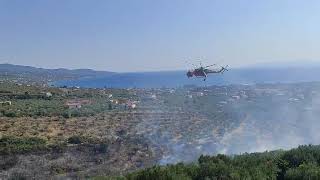 Καλαμάτα: Φωτιά στην περιοχή Ρίζα - Καίριες ρίψεις από εναέρια μέσα