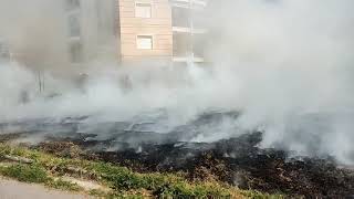 Καλαμάτα: Φωτιά σε οικόπεδο στην οδό Μεγάλου Αλεξάνδρου