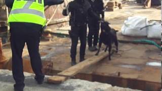Σύλληψη.... κατσίκας στο λιμάνι της Καλαμάτας