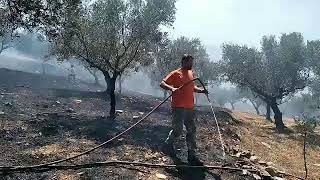 Πυρκαγιά στον Αετό Μεσσηνίας