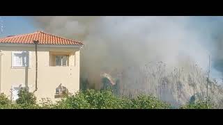 Μεσσηνία: Πυρκαγιά στη Λαχανάδα από καύση κλαδιών!