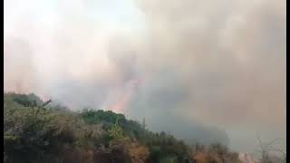 Μεσσηνία: Μάχη με τις φλόγες στο Ακριτοχώρι