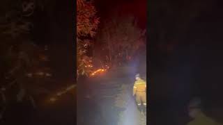 Καλαμάτα: Μεγάλη πυρκαγιά σε αγροτική έκταση στον Μπουρνιά