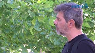 "Ιστορικές διαδρομές" στο σιδηροδρομικό σταθμό Καλαμάτας και στην πλατεία Ταξιαρχών (S01-EP16)