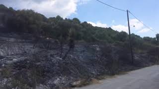 Μεσσηνία: Πυρκαγιά σε δασική περιοχή στο Χανδρινού
