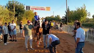 Με επιτυχία και φέτος οι ιπποδρομίες στο Πλατύ