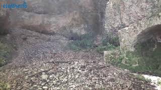 Ηλεία: Αλεπού στο δάσος της Φολόης
