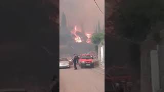 Μεσσηνία: Η πυρκαγιά μπήκε στο Καρνάσι
