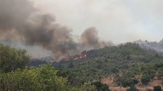Μαίνεται η φωτιά στην Πολυθέα Μεσσηνίας