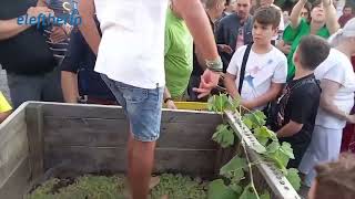 Πλήθος κόσμου στη γιορτή σταφυλιού και μούστου στο Μουζάκι
