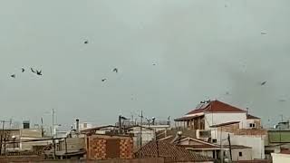 Ανεμοστρόβιλος Καλαμάτα 24-9-19