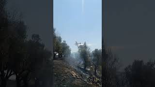 Μεσσηνία: Ρίψεις για την κατάσβεση της πυρκαγιάς στον Νερόμυλο