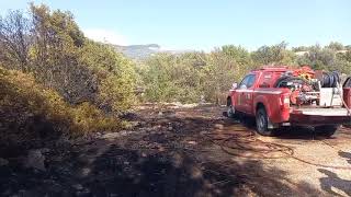 Μεσσηνία: Πυρκαγιά στη Μεγάλη Μαντίνεια