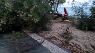Μεσσηνία: Επεσαν δένδρα από την κακοκαιρία στον Μάραθο