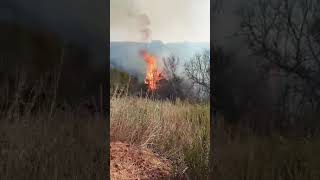 Μεσσηνία: Έσβησε η φωτιά στο Μουζάκι