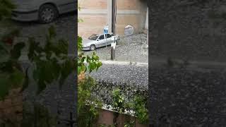 Χαλάζι... μικρό βερίκοκο στην περιοχή της Μεσσήνης