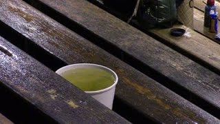 Με... κουβάδες είδαν το ματς Μεσσηνιακός - Ελασσόνα στο Κλειστό της Παραλία
