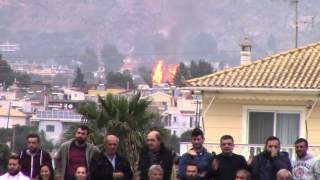 Φωτιά σε φοίνικα και κολόνα της ΔΕΗ στην Καλαμάτα