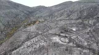 Μεσσηνία: Κρανίου τόπος μετά το πέρασμα της πυρκαγιάς από τα χωριά του Αετού