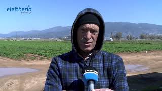 Το πρώτο δεκαπενθήμερο του Απριλίου βγαίνουν πρώτες πατάτες σε Καλαμάτα - Μεσσήνη
