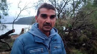 Μεσσηνία: Η κακοκαιρία "Αθηνά" έριξε δένδρα στο Μάραθο - Τι δηλώνει ο πρόεδρος Κώστας Παντελής