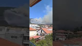 Μεσσηνία: Πυρκαγιά στο Κεφαλόβρυσο Χώρας