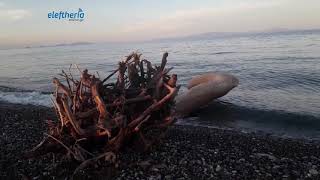 Κρύα Βρύση Μια αιγαιοπελαγίτικη παραλία που δύσκολα θα τη βρείτε γεµάτη!