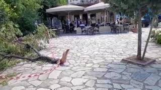Καλαμάτα: Ζημιές από ανεμοστρόβιλο στην πλατεία Οθωνος (1)