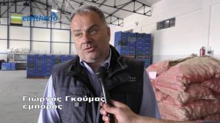 Ευκαιρίες για τη Μεσσηνία από την παραγωγή πατάτας