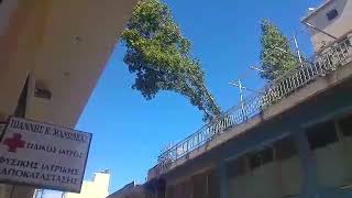 Πτώση δένδρου σε πολυκατοικία στην Καλαμάτα