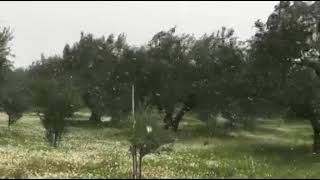 Χιονόπτωση σε ημιορεινές περιοχές της Κυπαρισσίας