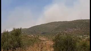 Πυρκαγιά στους Χράνους Μεγαλόπολης κοντά στη γέφυρα της Τσακώνας