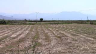 Αυτό είναι το οικόπεδο, που θα γίνει hot spot προσφύγων στη Μεσσήνη