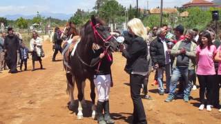 Ιπποδρομίες 2017 Απονομή στην Αθηνά Δημητροπούλου