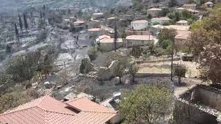 Μεσσηνία: Αποκαρδιωτική εικόνα στο Κρυονέρι μετά την καταστροφική πυρκαγιά