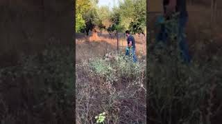 Μεσσηνία: Εξαρθρώθηκε εγκληματική οργάνωση διακίνησης ηρωίνης